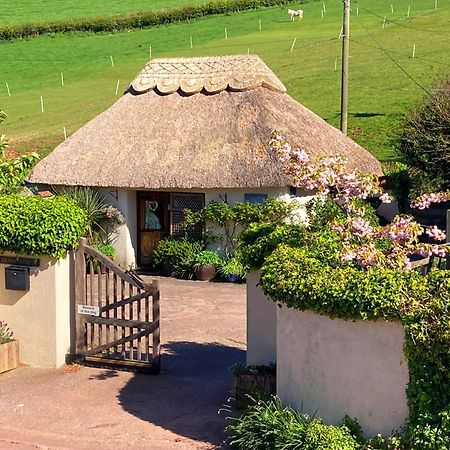 The Nest - Thatched Seaside Country Cottage For Two Stokeinteignhead Eksteriør billede