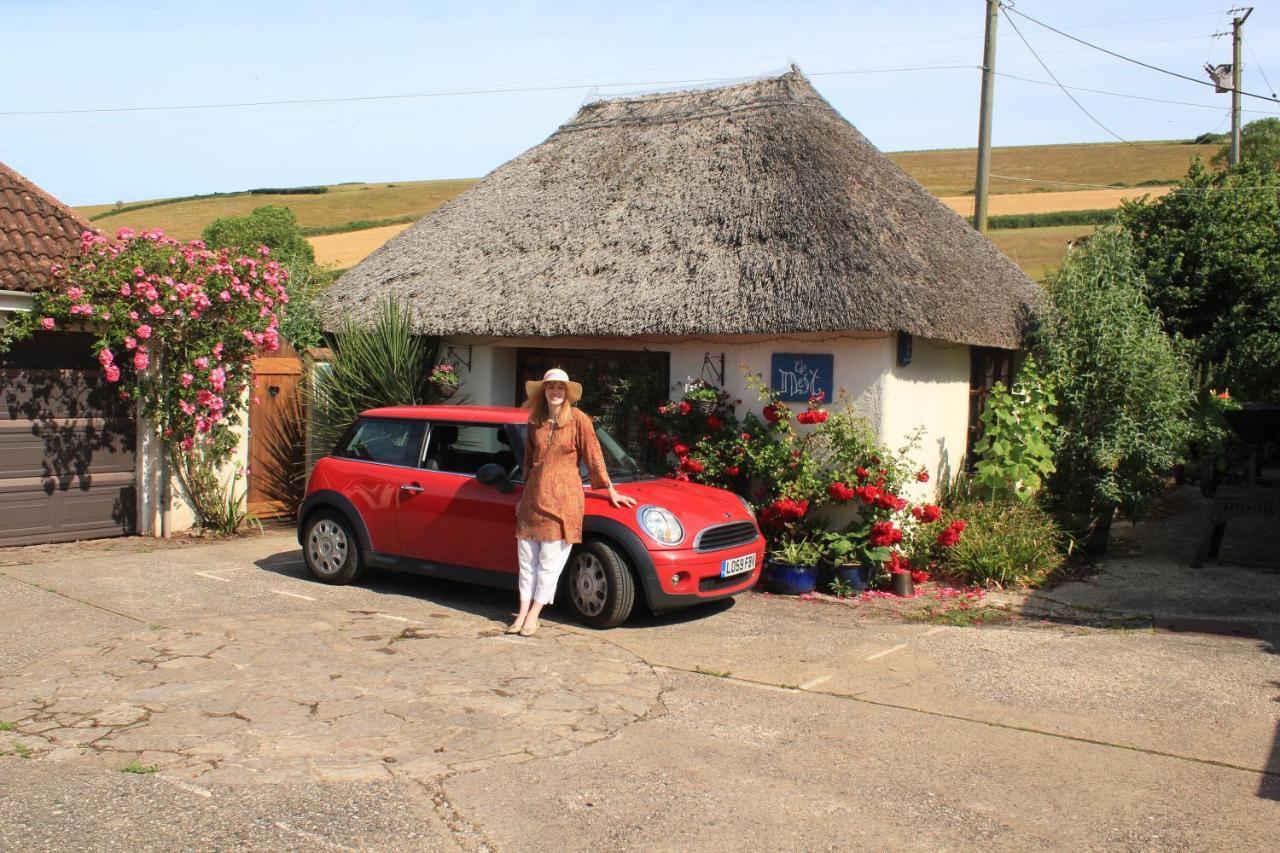 The Nest - Thatched Seaside Country Cottage For Two Stokeinteignhead Eksteriør billede