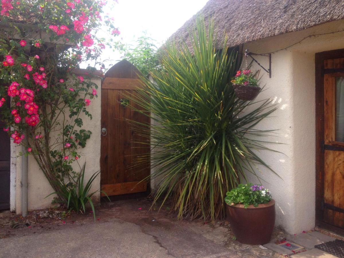 The Nest - Thatched Seaside Country Cottage For Two Stokeinteignhead Eksteriør billede