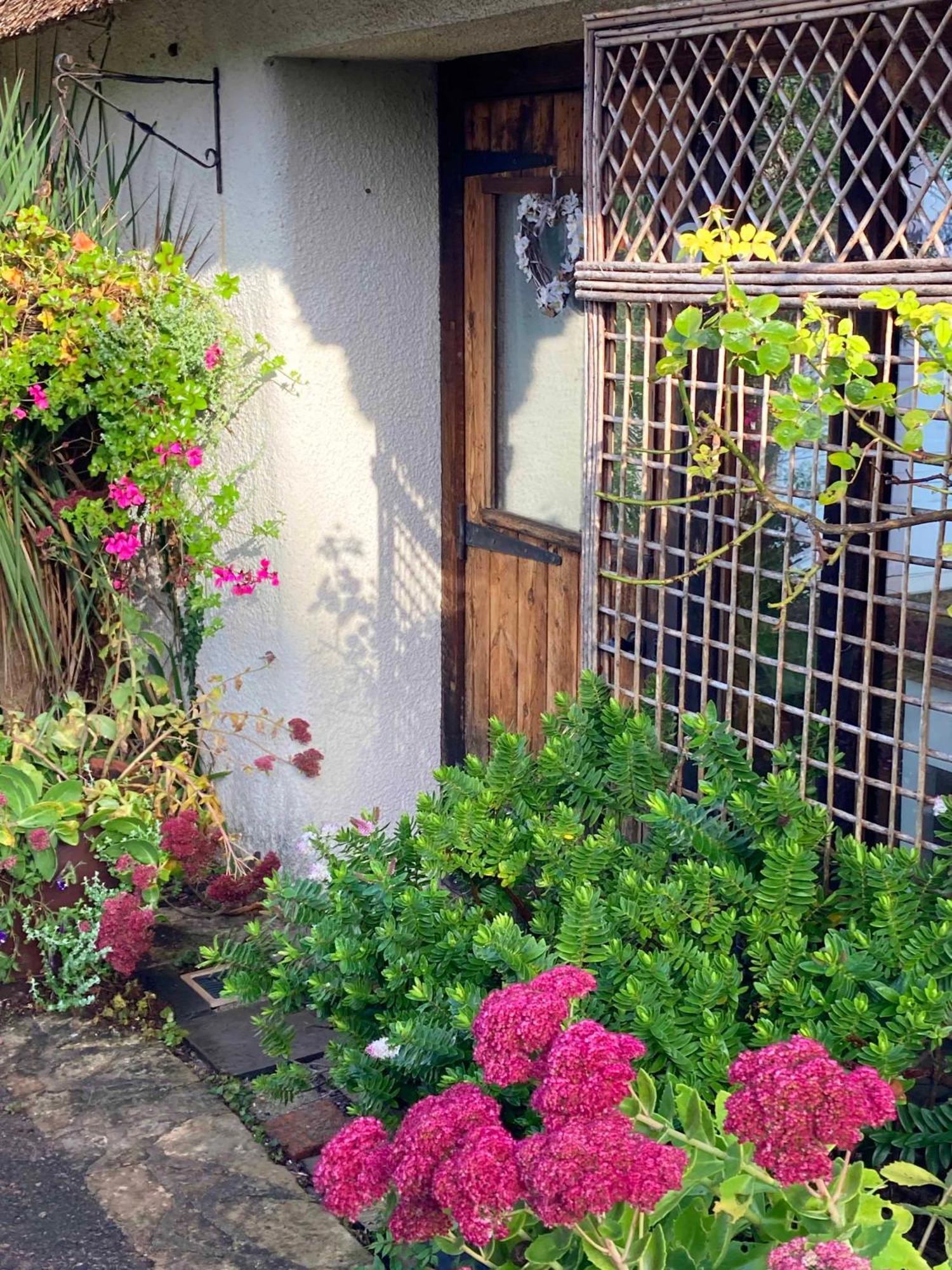 The Nest - Thatched Seaside Country Cottage For Two Stokeinteignhead Eksteriør billede
