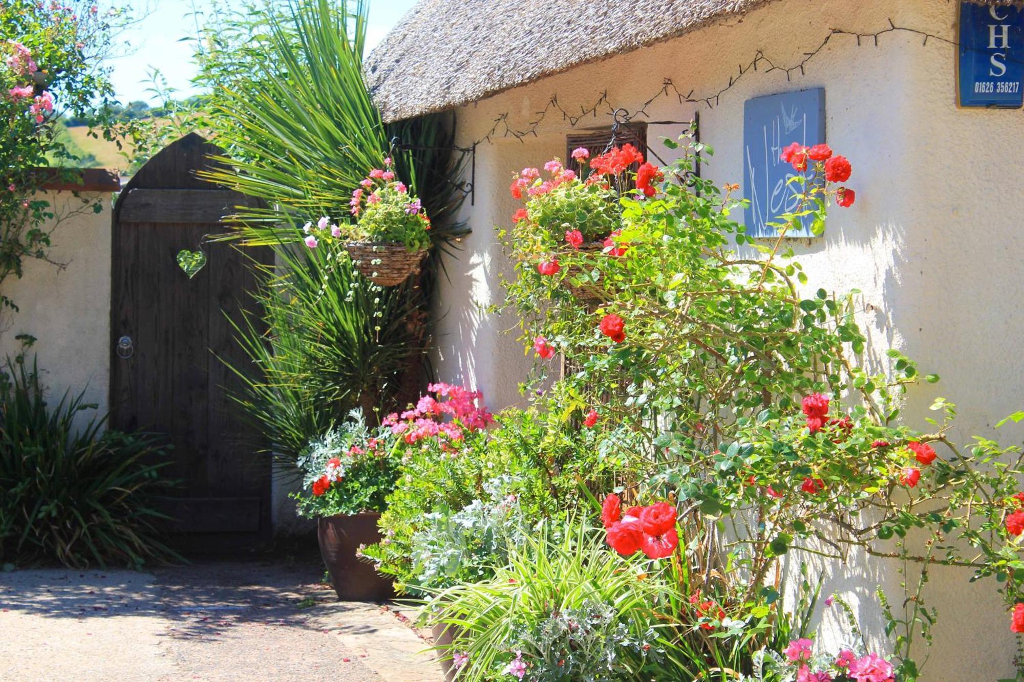The Nest - Thatched Seaside Country Cottage For Two Stokeinteignhead Eksteriør billede