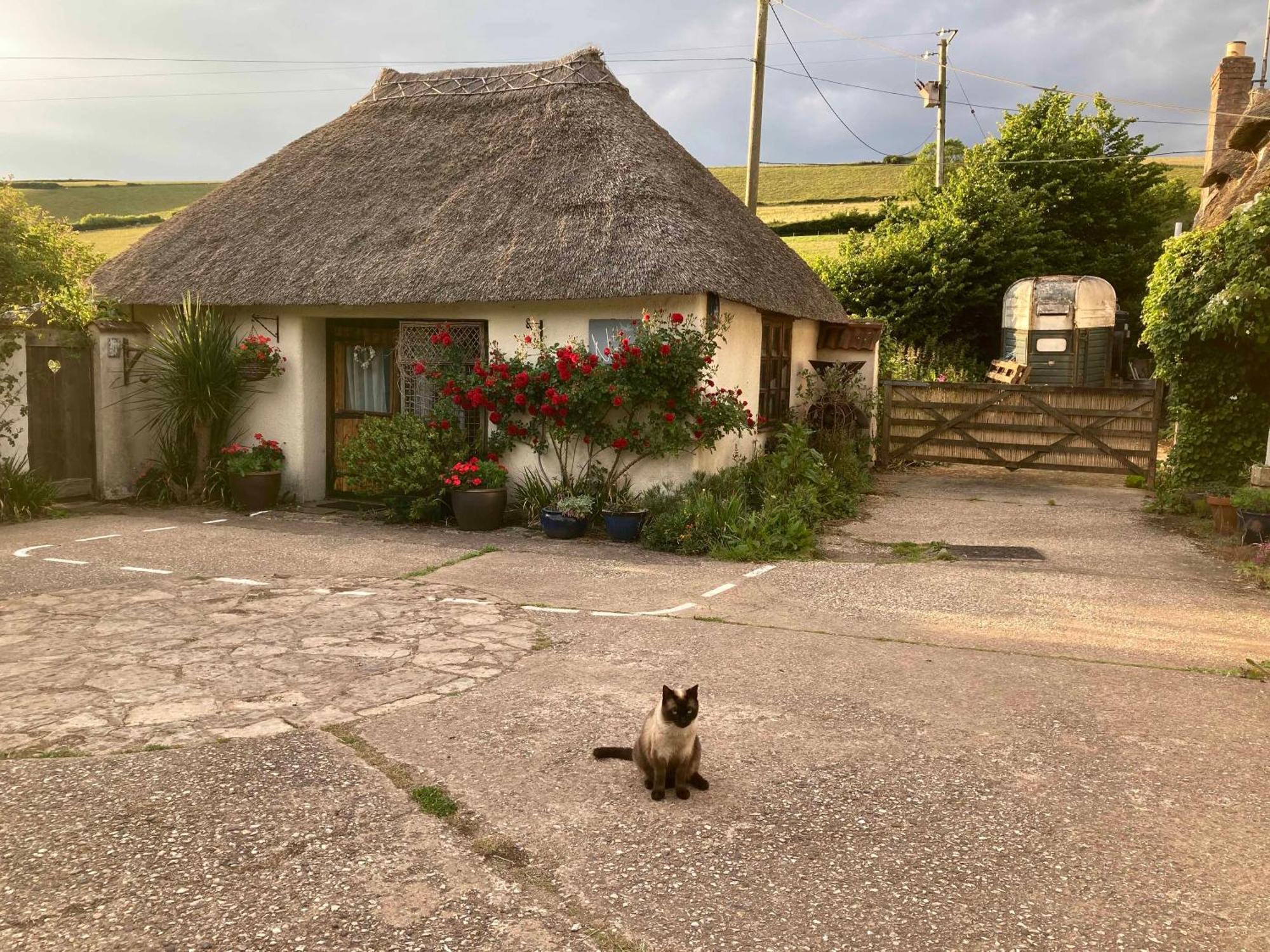 The Nest - Thatched Seaside Country Cottage For Two Stokeinteignhead Eksteriør billede